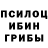 Галлюциногенные грибы MAGIC MUSHROOMS eraser rus