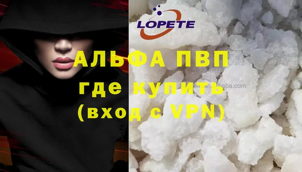 ГАЛЛЮЦИНОГЕННЫЕ ГРИБЫ Касимов