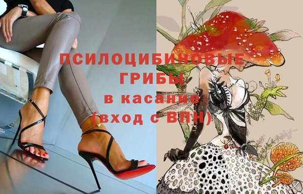 ГАЛЛЮЦИНОГЕННЫЕ ГРИБЫ Касимов