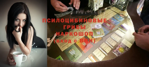 ГАЛЛЮЦИНОГЕННЫЕ ГРИБЫ Касимов